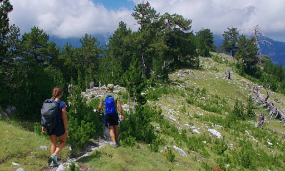 Συναγερμός με την εξαφάνιση ορειβάτη στον Όλυμπο